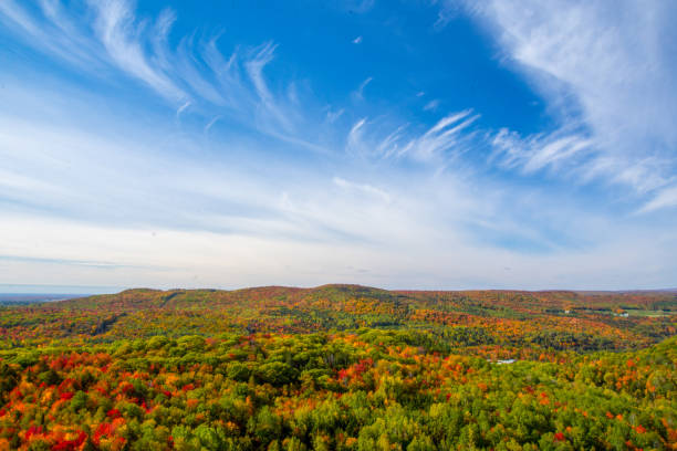 istock Fall colors in theCanadian forest 1344858004