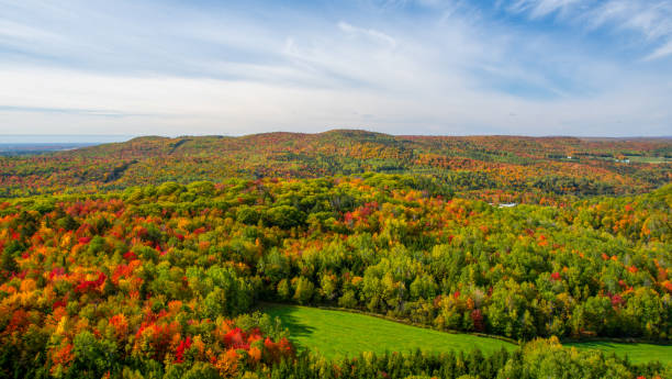 istock Fall colors in theCanadian forest 1344858006