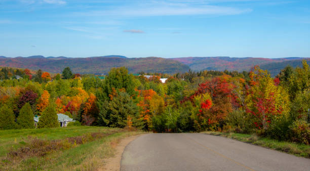 istock Fall colors in theCanadian forest 1344858037