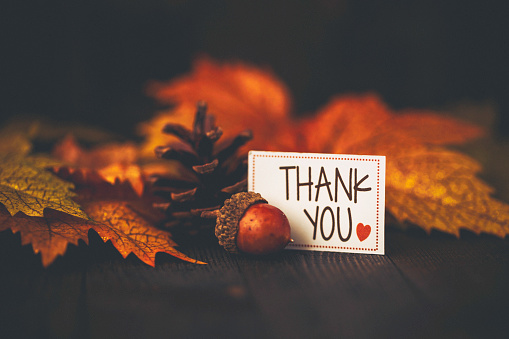 Hojas de otoño con mensaje de agradecimiento sobre fondo de madera rústica photo