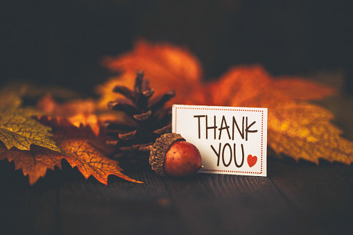 Fall Leaves with Thank You Message on Rustic Wood Background