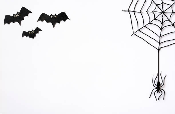 Halloween theme with black spiders, web and bats on white background