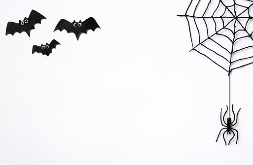 Halloween theme with black spiders, web and bats. Creepy Halloween objects on white background with space for text, flat lay. Minimalist Hallowen greeting card. Concept of Happy Halloween and horror.
