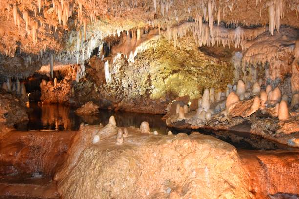 пещера харрисона, барбадос - cave canyon rock eroded стоковые фото и изображения