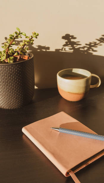 istock Journal and pen on table in morning sunlight 1344863452