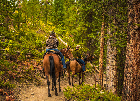Young man and woman riding horses in the forest of Rocky Mountains, Colorado.