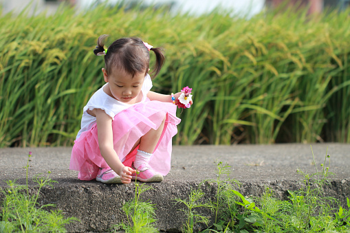 smiling Asian girl playing and picking flowers in paddy.