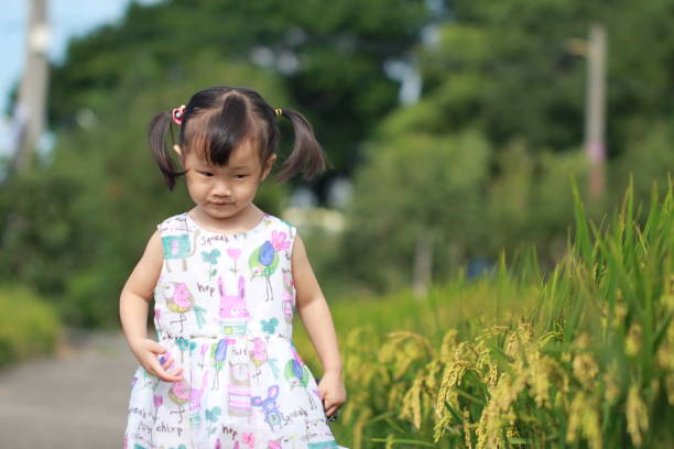 istock smiling Asian girl playing in paddy. 1344866138