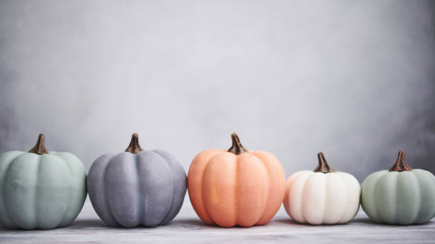 citrouilles de couleur pastel avec fond gris clair pour thanksgiving - white green indoors studio shot photos et images de collection