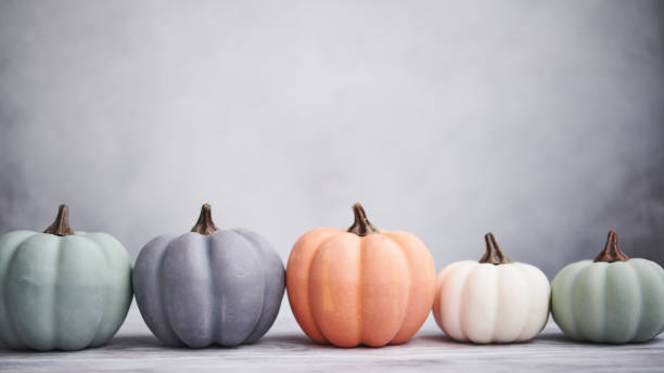 Pastel Colored Pumpkins with Light Gray Background for Thanksgiving Pastel Colored Pumpkins with Light Gray Background for Thanksgiving gourd stock pictures, royalty-free photos & images