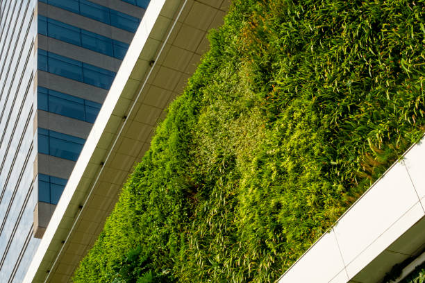 istock Green wall in commercial building with automatic irrigation 1344868126