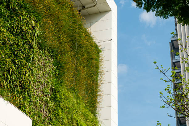 istock Green wall in commercial building with automatic irrigation 1344868131