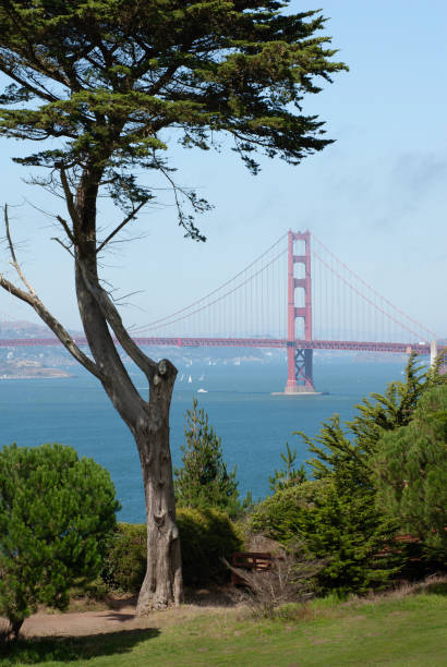 istock Land's End, San Francisco, with Golden Gate Bridge in Background 1344871561
