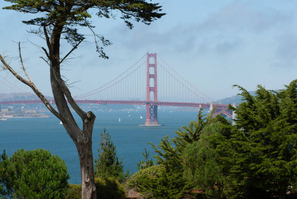 istock Land's End, San Francisco, with Golden Gate Bridge in Background 1344871562