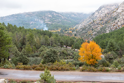 Autumn landscape in the mountains of Madrid in the Guadarrama area known as La Pedriza, Madrid, Spain