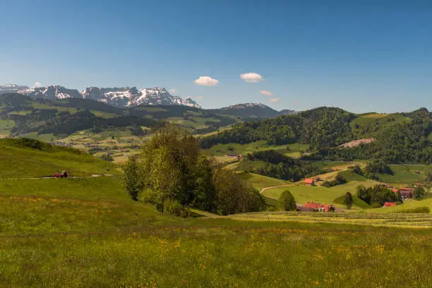 Green mountainous landscape in the Appenzeller Alps in Switzerland