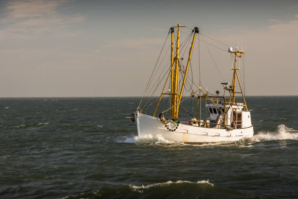 istock Fishing boat on the North Sea 1344876199