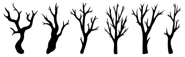 vektorsatz für trockene blattlose zweige. handgezeichnete illustration isoliert auf weißem hintergrund. silhouetten von nackten zweigen. sammlung botanischer skizzen. natürliche monochrome elemente. - bare tree dry tree branch stock-grafiken, -clipart, -cartoons und -symbole