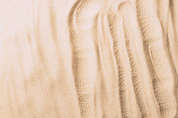 istock Abstract sand texture. Natural sandy background for product presentation. Top view frame 1344878244