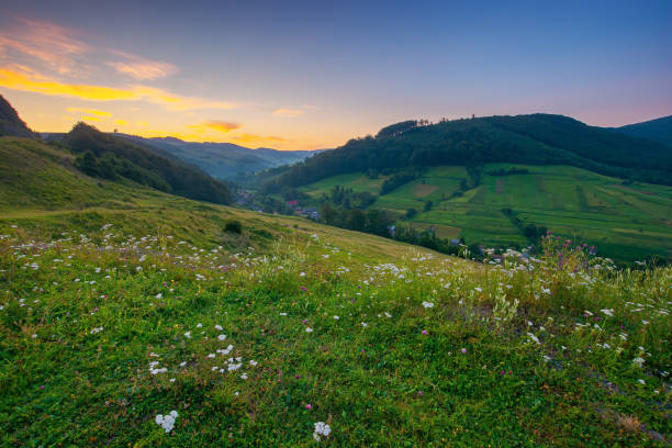 istock countryside valley scenery at sunrise 1344880691