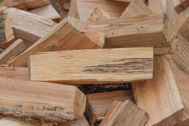 istock Chopped oak wood firewood 1344893451