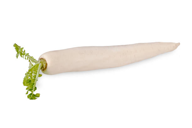 istock White radish Daikon isolated on a white background 1344894830