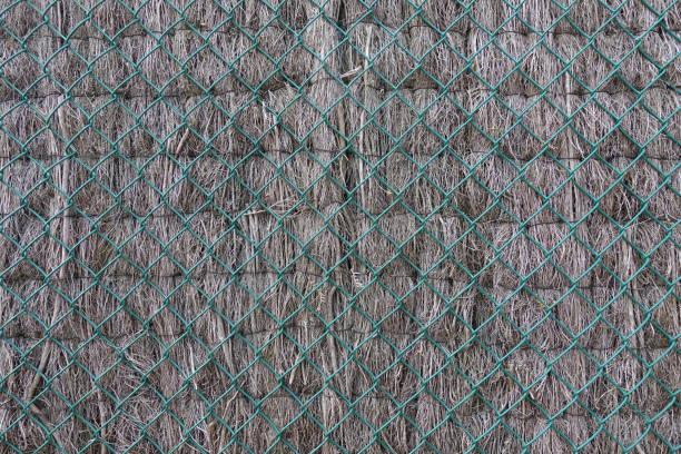 Double mesh fence and heather Dried plant