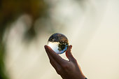 Holding glass ball. A tree reflected in a crystal ball at sunset. Sri Lanka