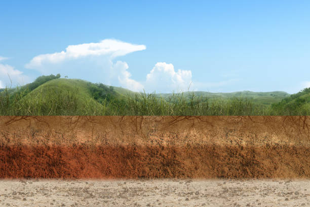 Underground soil layer of cross-section earth with grass on the top
