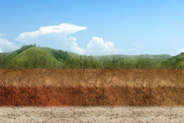 Underground soil layer of cross-section earth with grass on the top Underground soil layer of cross-section earth with grass on the top with hills view background bedrock stock pictures, royalty-free photos & images