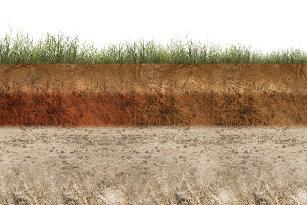 istock Underground soil layer of cross-section earth with grass on the top 1344895182