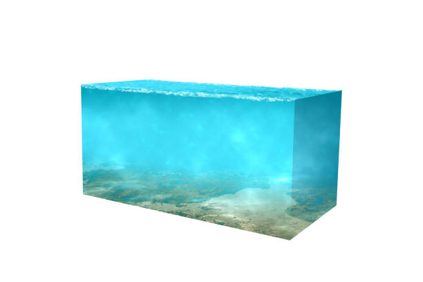 istock Underwater view of blue water on the ocean 1344895431