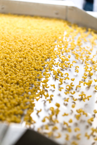 istock Pasta producing process, various types of pasta on conveyor belt 1344897430
