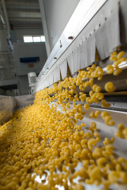 istock Pasta producing process, various types of pasta on conveyor belt 1344897444