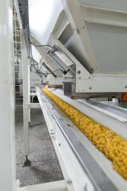 istock Pasta producing process, various types of pasta on conveyor belt 1344897466