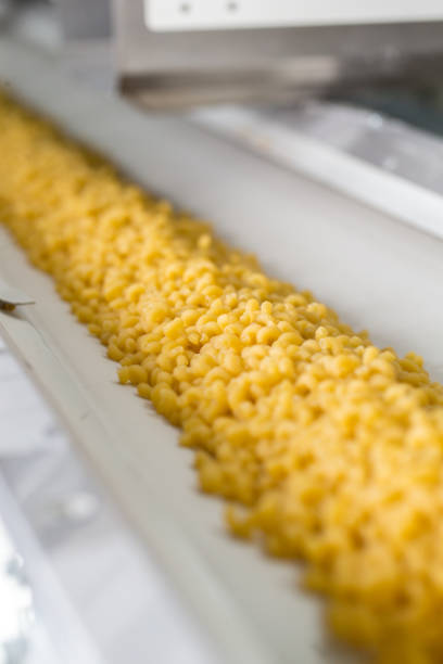 istock Pasta producing process, various types of pasta on conveyor belt 1344897474