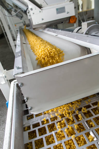 istock Pasta producing process, various types of pasta on conveyor belt 1344897479