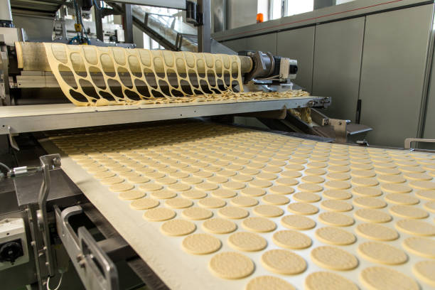istock Cookies making process, many raw cookies on conveyor belt 1344898311