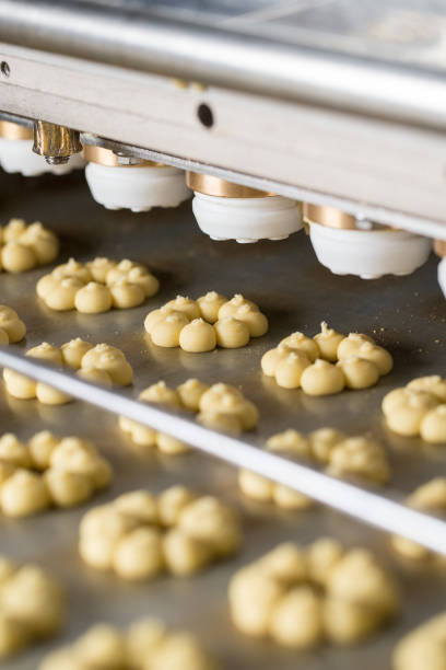 istock Cookies making process, many raw cookies on conveyor belt 1344898392