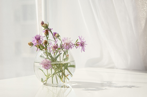 Summer wildflowers glass vase. Beautiful airy summer still life with wildflowers on a white table. A gift for a birthday, anniversary, mom. Bright sunlight with beautiful shadows. Horizontal postcard