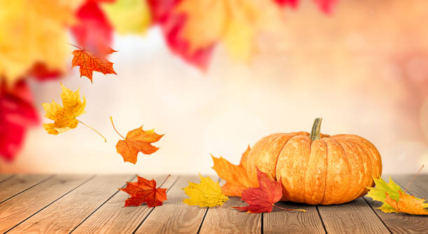 istock pumpkin and autumn falling leaves 1344901487