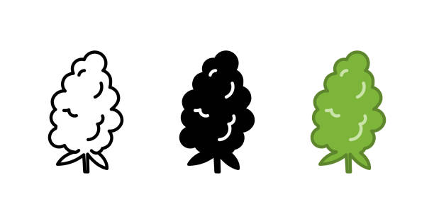 illustrazioni stock, clip art, cartoni animati e icone di tendenza di icona del bocciolo di marijuana - cut out flower bud clipping path