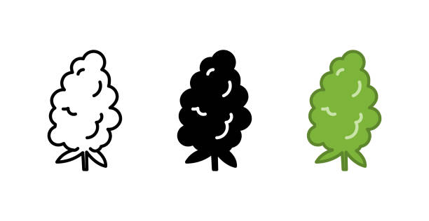 330 Cartoon Of A Marijuana Buds Illustrations & Clip Art - iStock 330 Cartoon Of A Marijuana Buds Illustrations & Clip Art - iStock