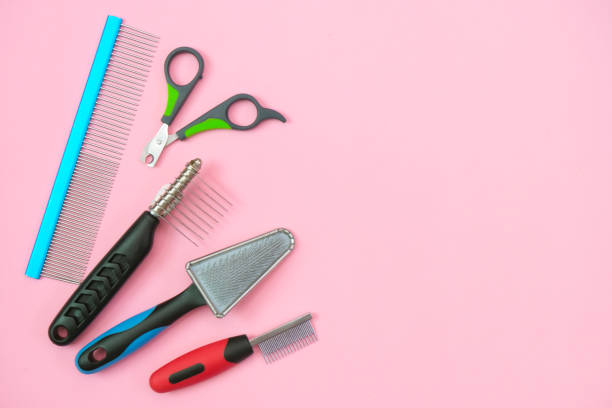 istock pet care and grooming tools on a pink background. 1344903484