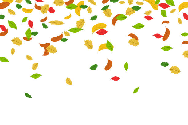 ilustrações, clipart, desenhos animados e ícones de folhas coloridas caindo em um fundo branco - autumn leaf isolated white background
