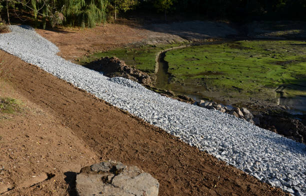 The mud at the bottom of the pond is green with algae that have overgrown fertilized alluvial sediments. during the reclamation, the excavator created a new one from the stream bed. excavation, dig The mud at the bottom of the pond is green with algae that have overgrown fertilized alluvial sediments. during the reclamation, the excavator created a new one from the stream bed. excavation, dig, hydro seeding erosion control stock pictures, royalty-free photos & images