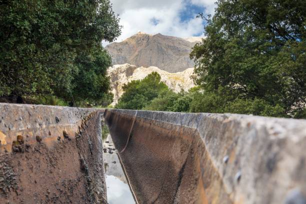 Freshwater Irrigation canal