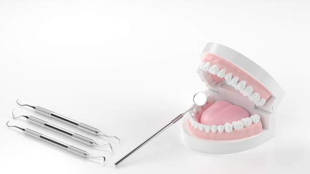 3D rendering of tooth model and scaler