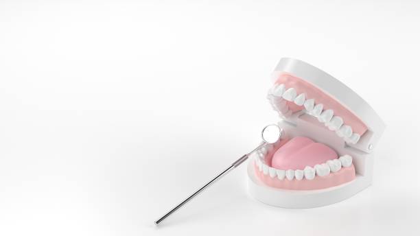 istock 3D rendering of tooth model and dental mirror 1344909228