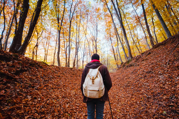 istock man in autumn woods, fantasy forest landscape 1344911948